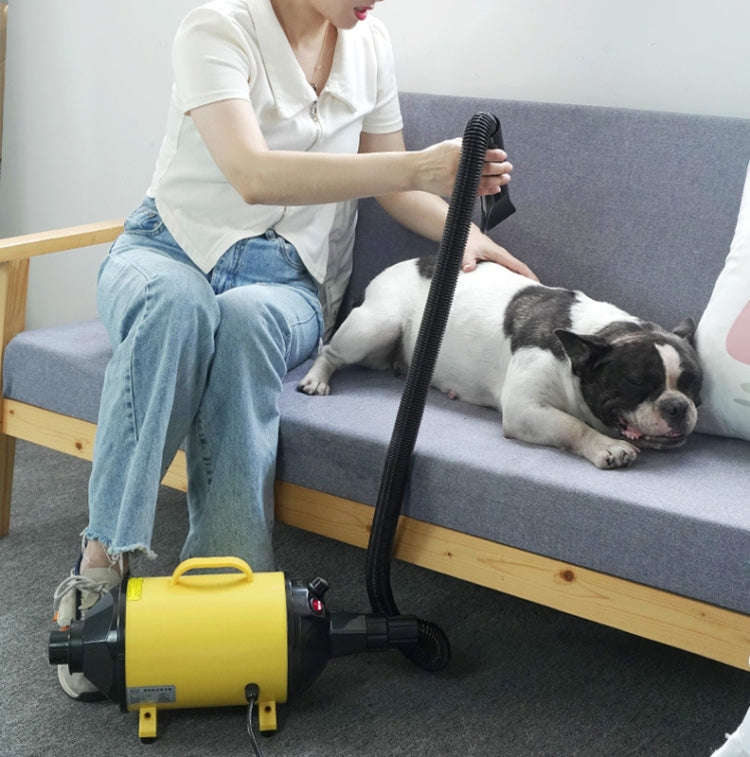 2100W Dog Dryer Stepless Speed Pet Hair Blaster With Vacuum Cleaner 110V US Plug(Pure Blue)