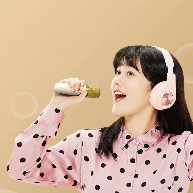 Havit P1 Portable Singing Home Wireless Bluetooth Speaker Microphone Set, Style: Dual-microphone