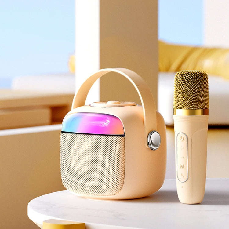 Havit P1 Portable Singing Home Wireless Bluetooth Speaker Microphone Set, Style: Dual-microphone