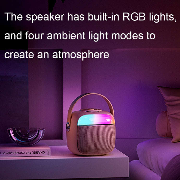 Havit P1 Portable Singing Home Wireless Bluetooth Speaker Microphone Set, Style: Dual-microphone