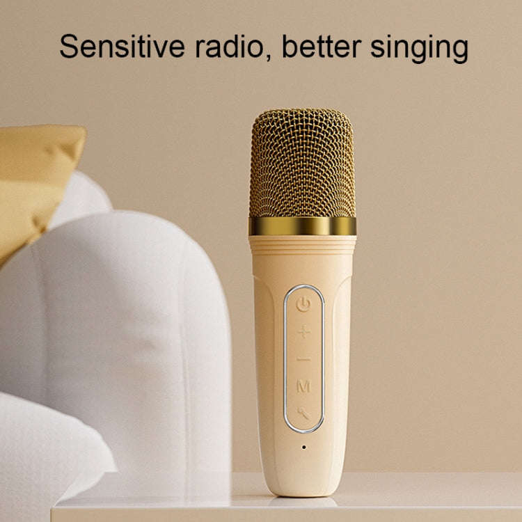 Havit P1 Portable Singing Home Wireless Bluetooth Speaker Microphone Set, Style: Dual-microphone
