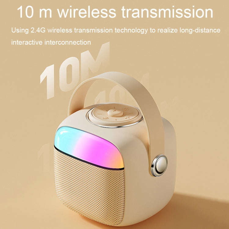 Havit P1 Portable Singing Home Wireless Bluetooth Speaker Microphone Set, Style: Dual-microphone