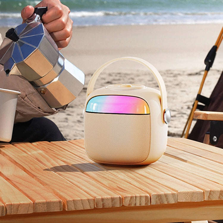 Havit P1 Portable Singing Home Wireless Bluetooth Speaker Microphone Set, Style: Dual-microphone