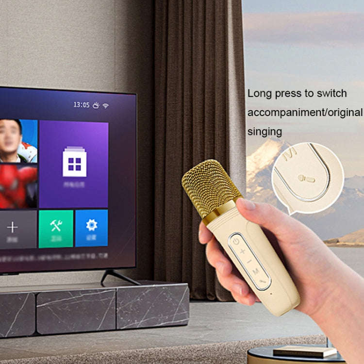 Havit P1 Portable Singing Home Wireless Bluetooth Speaker Microphone Set, Style: Dual-microphone