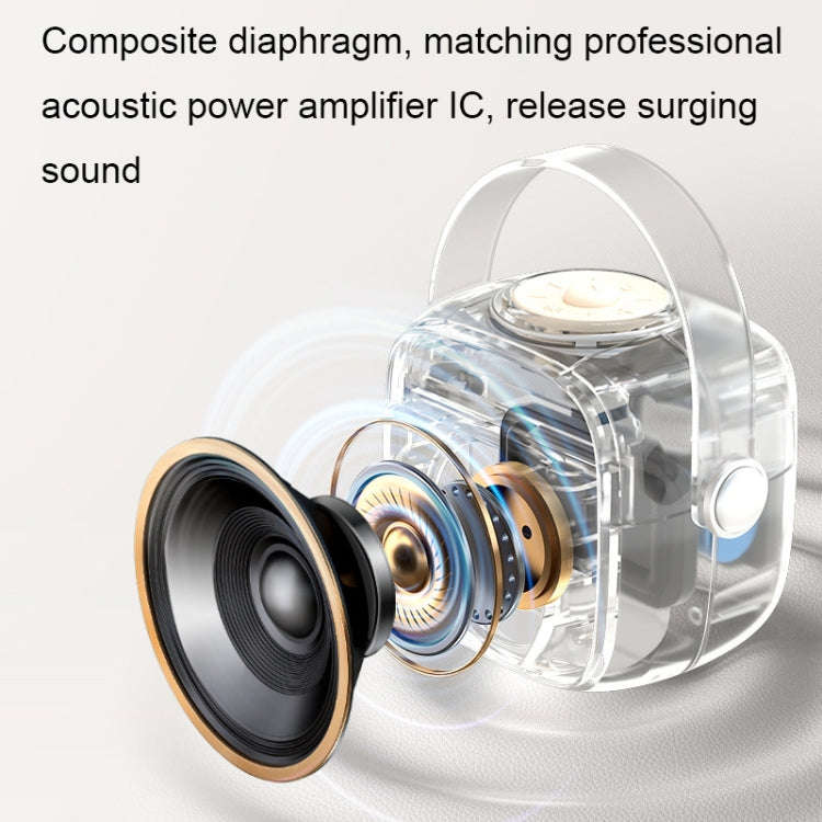 Havit P1 Portable Singing Home Wireless Bluetooth Speaker Microphone Set, Style: Dual-microphone