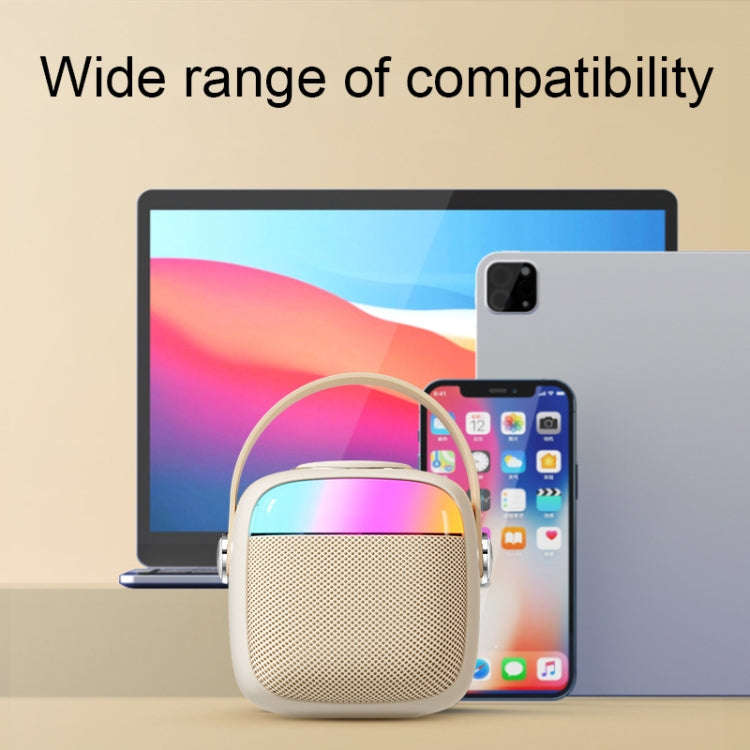 Havit P1 Portable Singing Home Wireless Bluetooth Speaker Microphone Set, Style: Dual-microphone