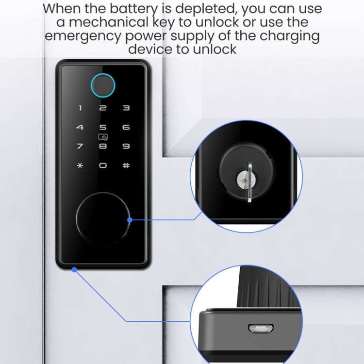 C87 Automatic Fingerprint Lock Entry Door Password Smart Lock(Black)