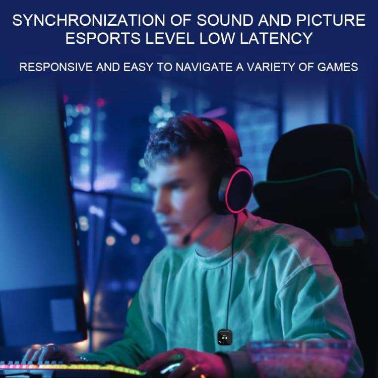 5.8G Wireless In Ear Monitor System Dual-Earphone Monitoring, Spec: Single Transmitter