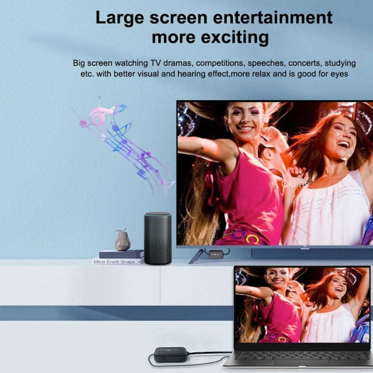 PWAY DT248W-H 30m Wireless HD Screen Projector Office Conference Screen Sharing Device(Type-C Int...