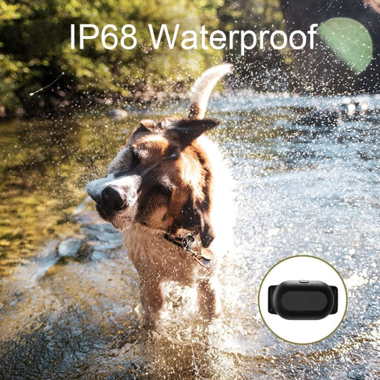 Dog Training Collar Smart 400m Remote Control Pet Training Device, Specification: T300
