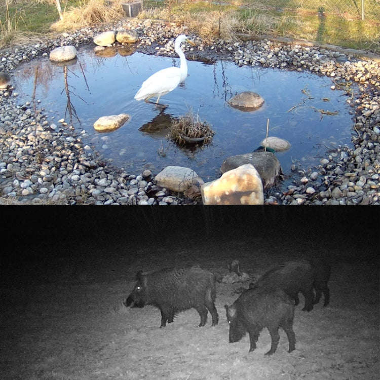 HC-801Pro 4K 4G Outdoor Hunting Camera App Remote Mobile Phone Control To View Photos And Video A...
