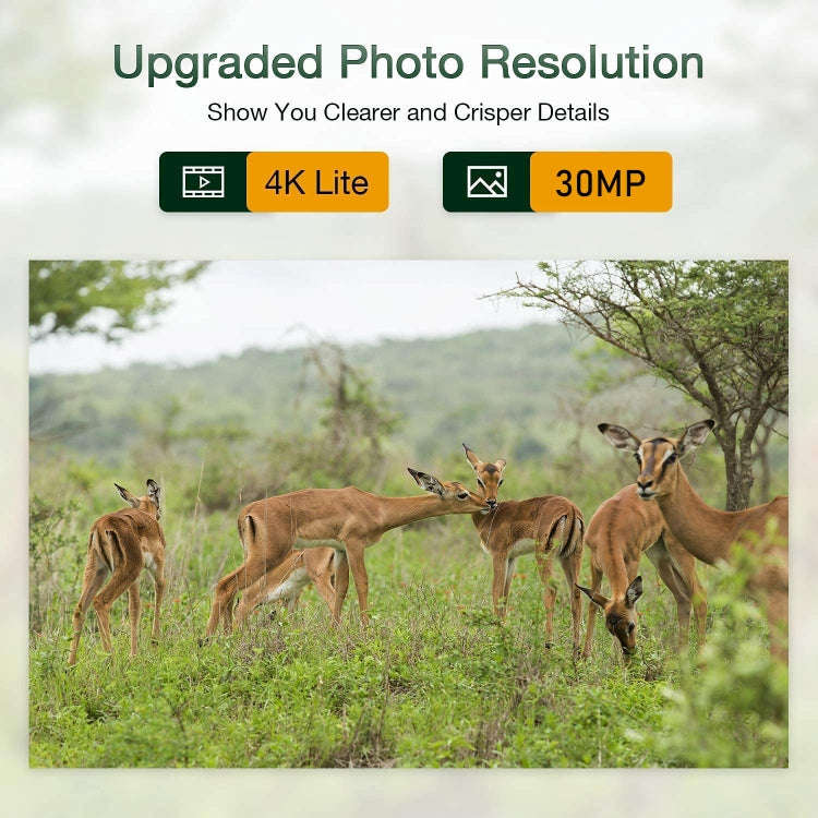 HC-801Pro 4K 4G Outdoor Hunting Camera App Remote Mobile Phone Control To View Photos And Video A...