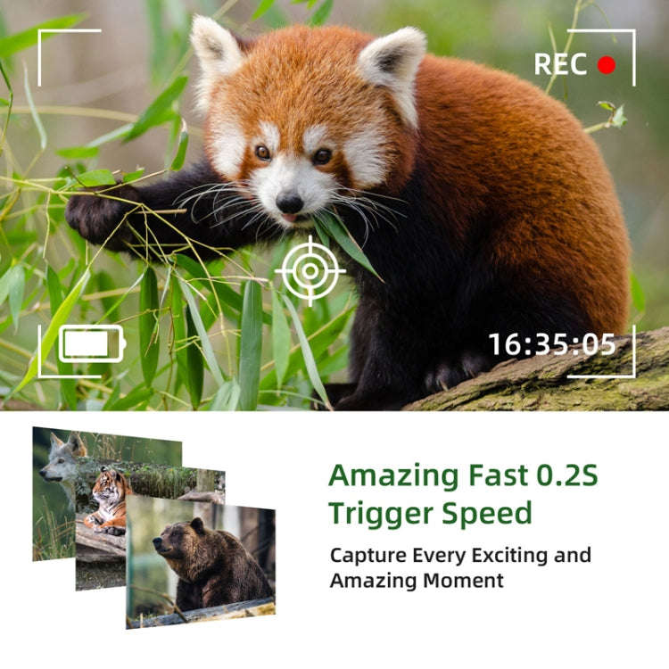 WiFi801Pro 4K Outdoor Tracking Hunting Camera APP Remote Phone Control To View Photos / Video At ...