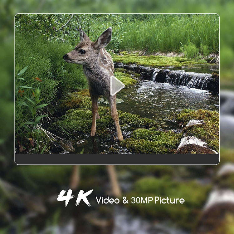 WiFi801Pro 4K Outdoor Tracking Hunting Camera APP Remote Phone Control To View Photos / Video At ...