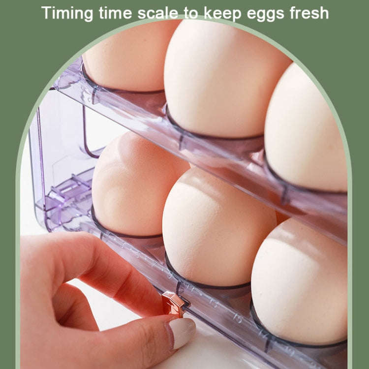 Refrigerator Flip-Type Eggs Storage Rack Egg Fresh-keeping Box, Size: Large(Transparent)