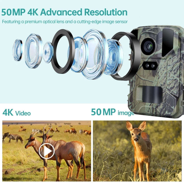 Mini800 Mini Wildlife Hunting Camera 50MP/4K Keep Way Night Vision Infrared Camera