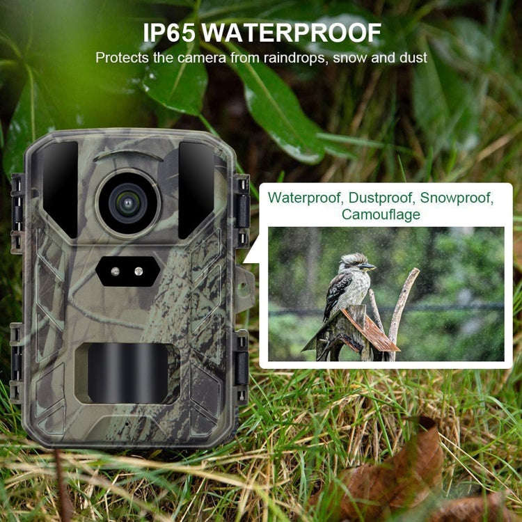 Mini800 Mini Wildlife Hunting Camera 50MP/4K Keep Way Night Vision Infrared Camera