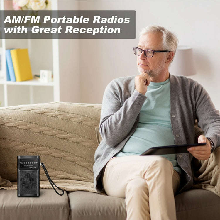 J-180 Portable Pointer FM/AM Two-Band Radios With Carrying Clip, Style: Regular Version(Black)