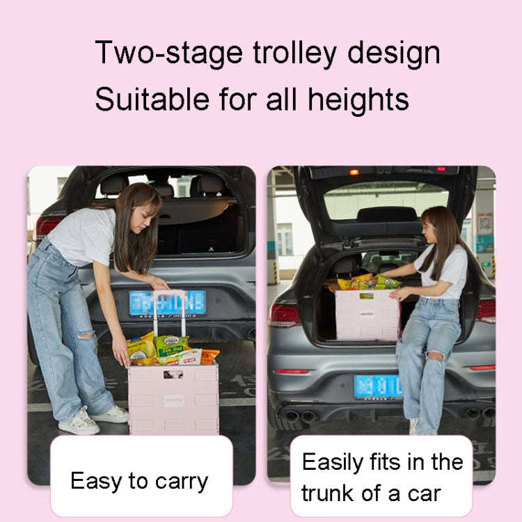 Portable Plastic Folding Shopping Cart Grocery Shopping Small Trolley Cart, Style: Two Wheels Gre...