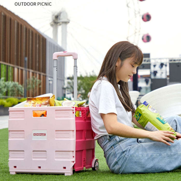 Portable Plastic Folding Shopping Cart Grocery Shopping Small Trolley Cart, Style: Two Wheels Dar...