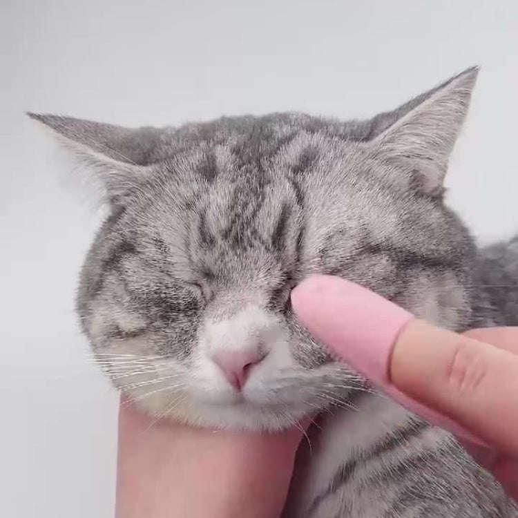 Pet Cats Dog Cleaning Comb Chin Teeth Cleaning Brush Silicone Brush(Pink)