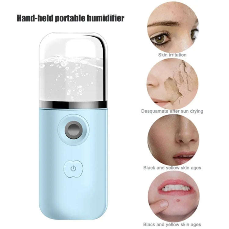 30ml Handheld Alcohol Disinfectant Instrument USB Interface Hydration Meter Humidifier, Color: White