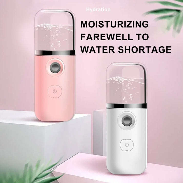 30ml Handheld Alcohol Disinfectant Instrument USB Interface Hydration Meter Humidifier, Color: White