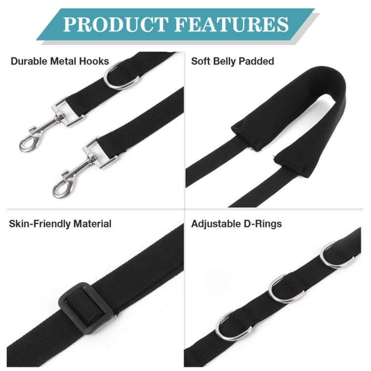 3pcs /Set Pet Bathing Beauty Table Fixed Lanyard Dog Tow Rope(Blue)