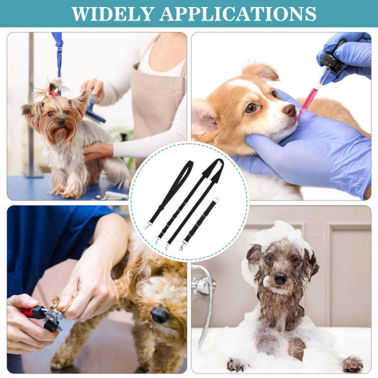 3pcs /Set Pet Bathing Beauty Table Fixed Lanyard Dog Tow Rope(Blue)