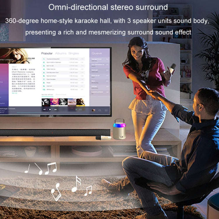 Home Portable Bluetooth Speaker Small Outdoor Karaoke Audio, Color: Y2 Black(Double wheat)