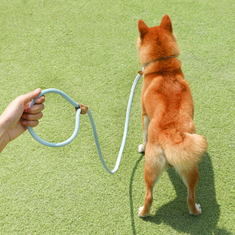 1.8m x 1cm Dog Traction Rope Mid Large Dog Universal Safety Buckle Chain Circle(Brown)
