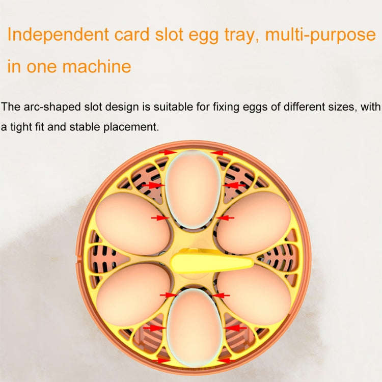 6-Eggs Small Household Experimental Children Smart Chicken Incubators, Spec: Automatic EU Plug