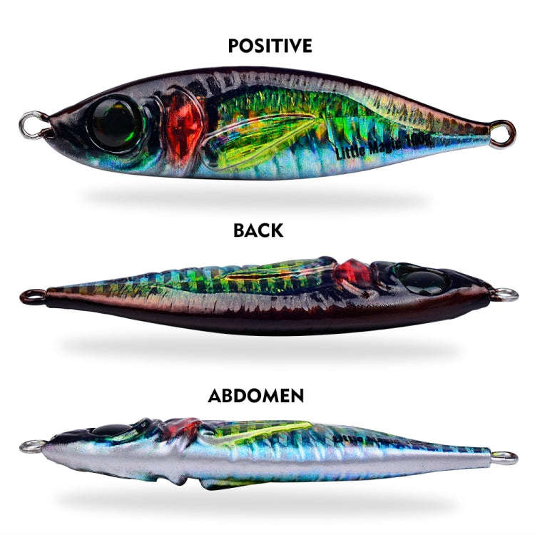 PROBEROS LF137 3D Spray Painted Bionic Lure Warp Bass Leader Fish Long Casting Freshwater Sea Lum...
