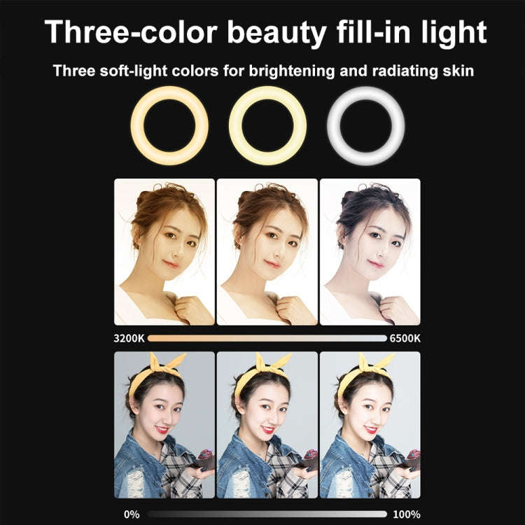 YRing48 4-Inch 48LEDs Laptop Camera Video Conference Live Beauty Ring Fill Light, Spec: Clip Set