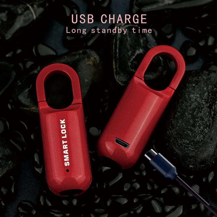 Smart USB Charging Bag Fingerprint Padlock Furniture Backpack Lock(Black)