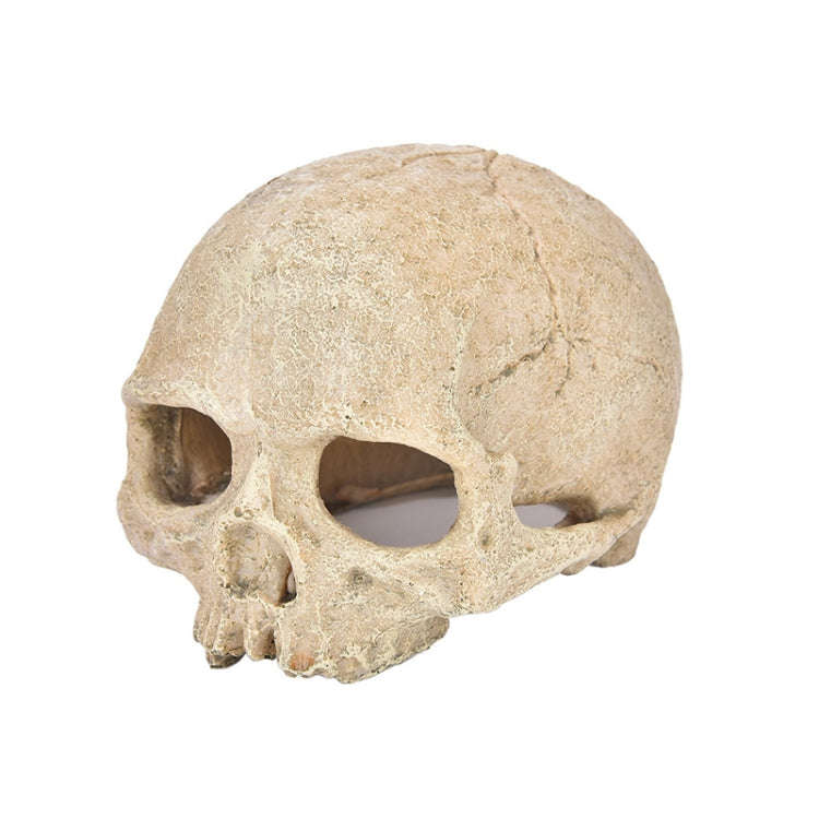 Fish Tank Aquarium Decoration Spider Lizard Snake Python Skull Breeding House Hiding Ornament(Bal...