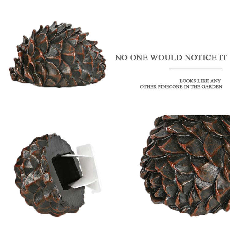 Simulated Stone Pine Nut Safe Key Box For Hiding Private Money, Shape: Pine