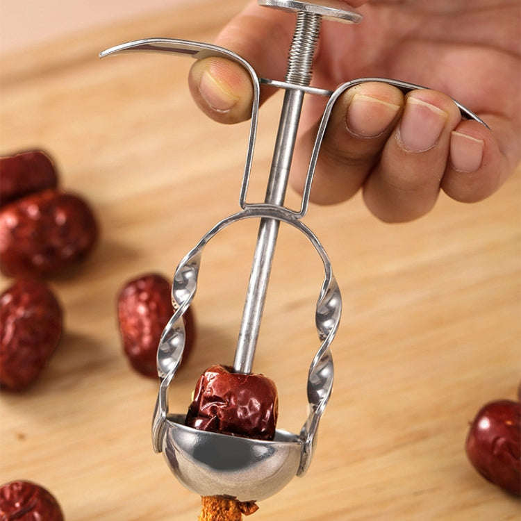 304 Stainless Steel Red Date Pitcher Kitchen Pitting Tool Household Cherry Corer