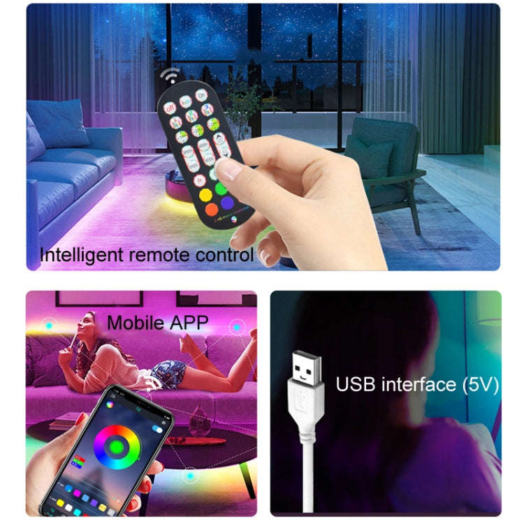 24-Key 2.4G Smart Colorful Running Water LED Light Strip Controller(Black)