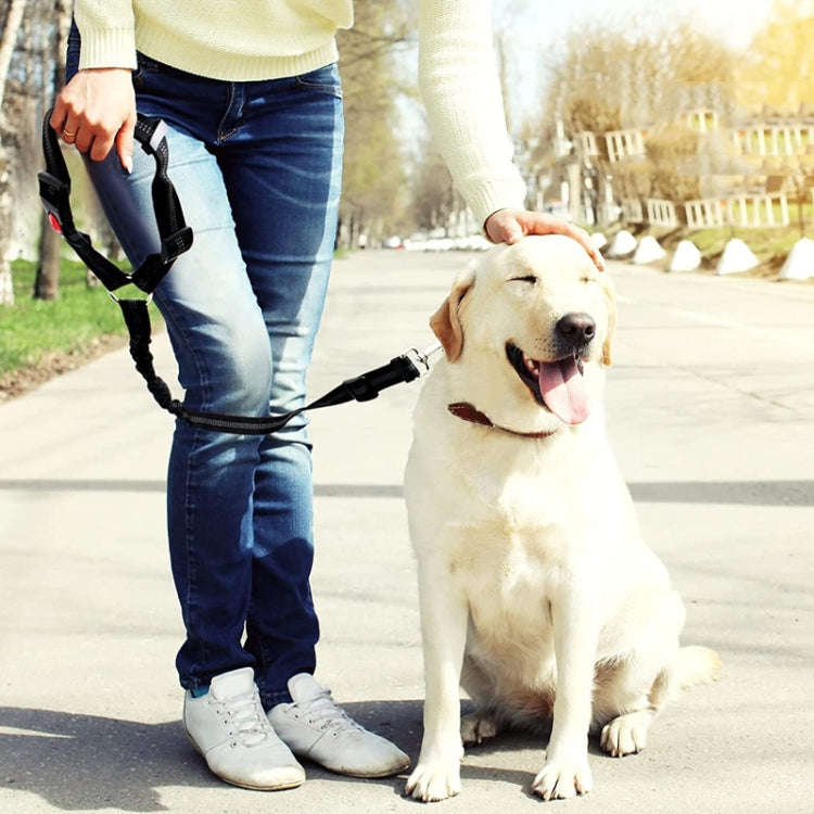 Dog Vehicle Seat Belt Rope Elastic Cushioned Towing Leash, Width: 2.5cm(Black)