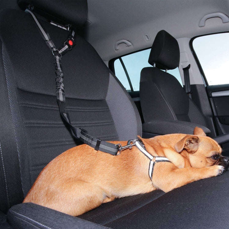 Dog Vehicle Seat Belt Rope Elastic Cushioned Towing Leash, Width: 2.5cm(Black)