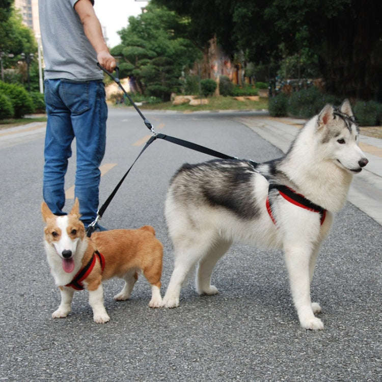 Small Pet Dual-Headed Tow Leash One Tow Two Hook And Loop Fastener(Blue)