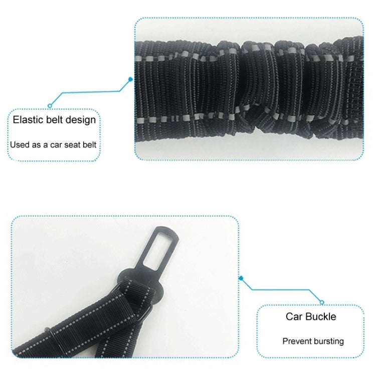2.5 x 150cm Pet Vehicle Safety Leash Multifunctional Towing Belt Dog Leash(Black)