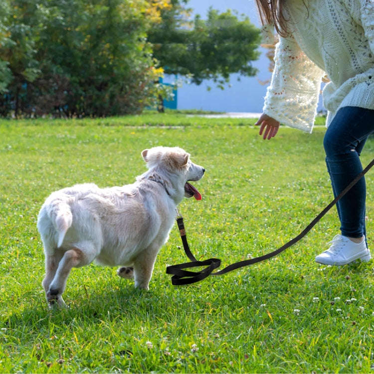 20m Pet Tracking Towing Leash Multifunctional Dog Walking Leashes(Black)