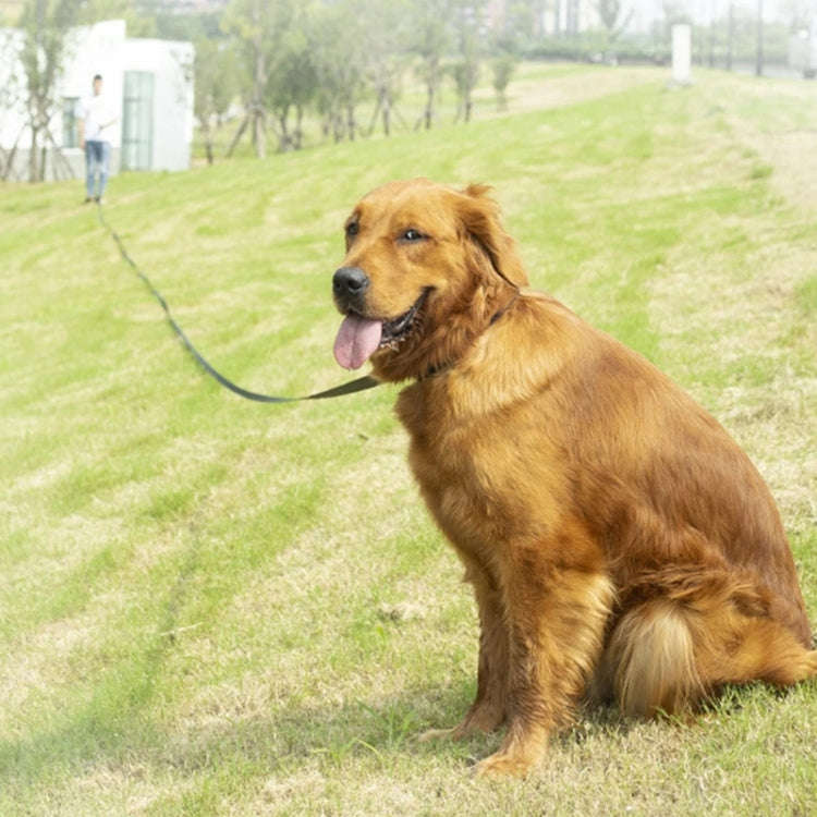 2.5cm x 10m Pet Tracking Dog Collar Leash Dog Training Lengthened Traction Leash(Black)