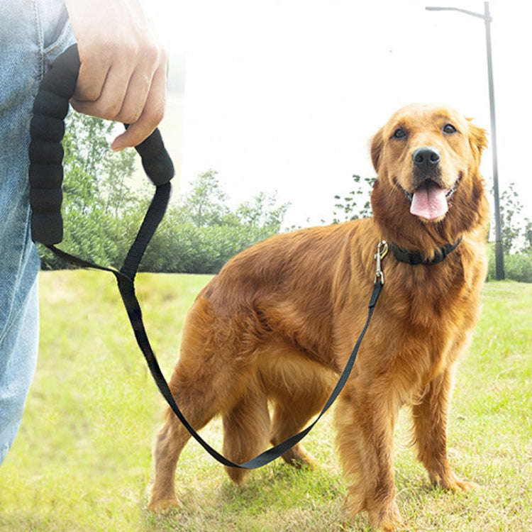 2.5cm x 10m Pet Tracking Dog Collar Leash Dog Training Lengthened Traction Leash(Black)