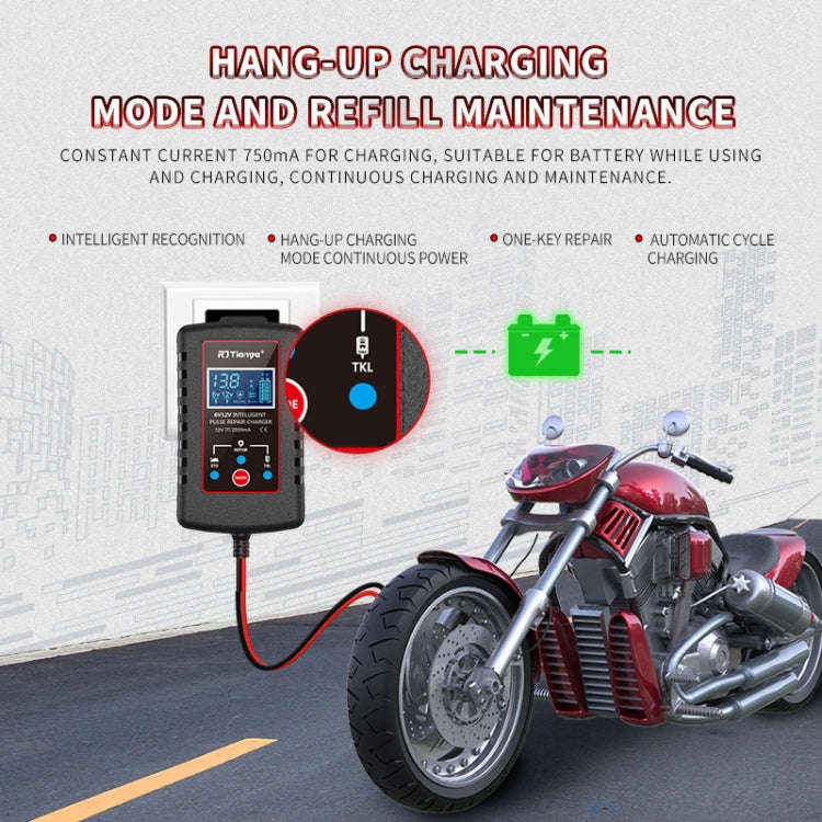 RJtianye 6V/12V ASE Adapter Cable Car Motorcycle Lawn Mower Battery Charger(EU Plug)
