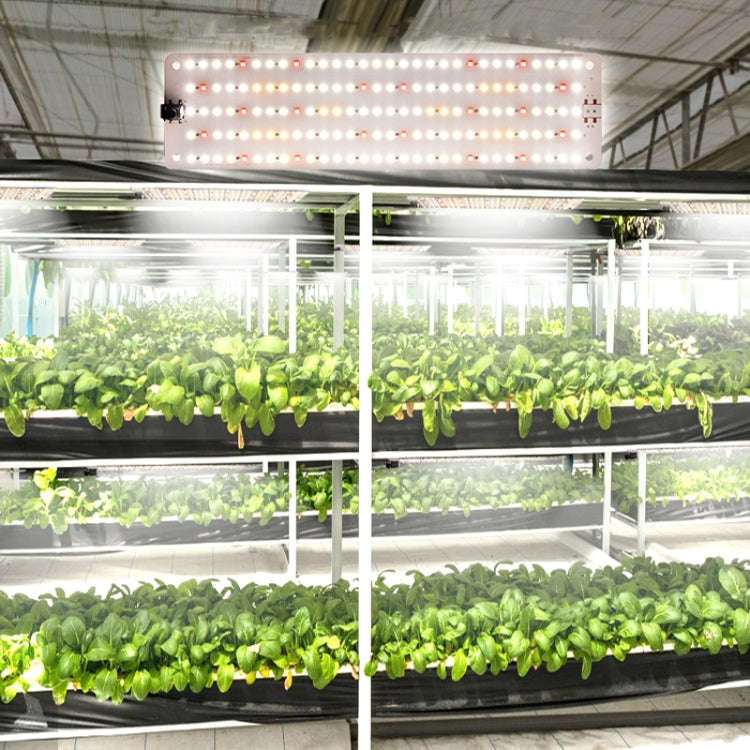 3 Heads 12V Sun Cold Light Panel Plant Grow Lamp Seedling Fill Lights(AU Plug)