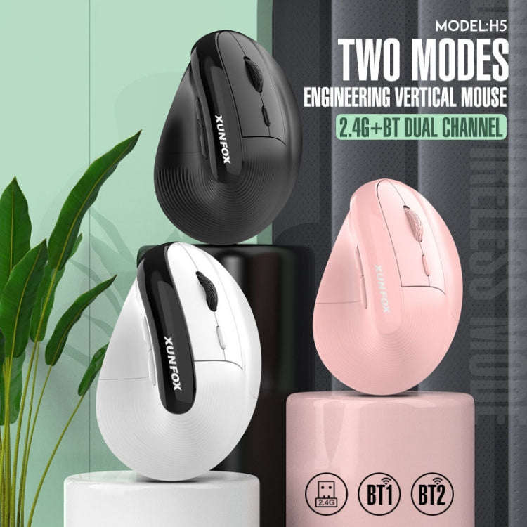XUNSVFOX H5 Upright Vertical Dual Mode Mouse Rechargeable Wireless Business Office Mouse(Black)
