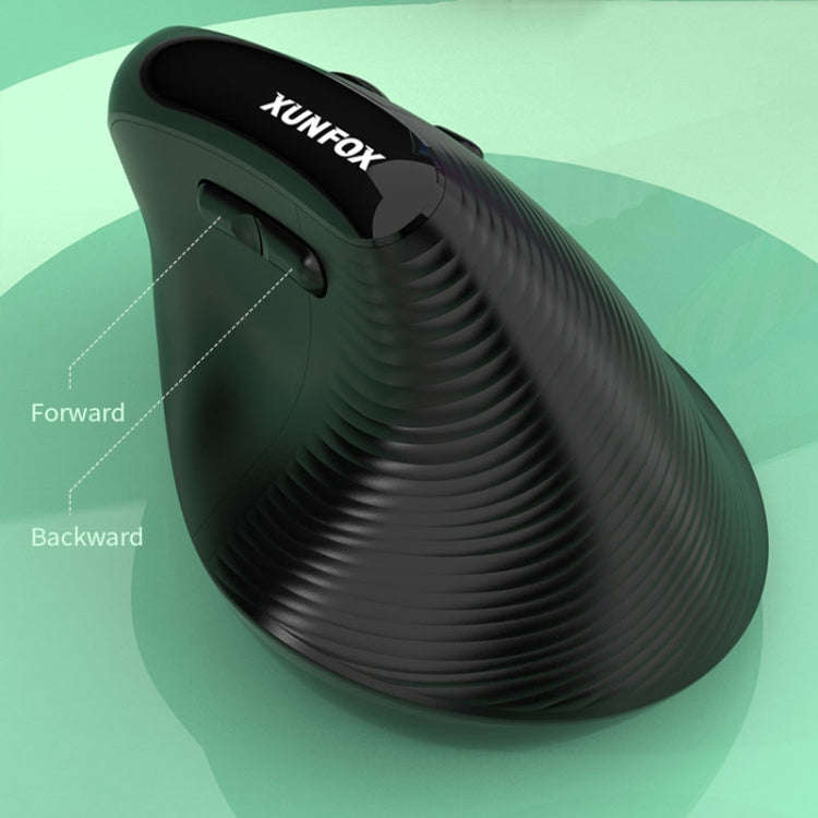 XUNSVFOX H5 Upright Vertical Dual Mode Mouse Rechargeable Wireless Business Office Mouse(Black)